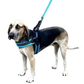 Sporn Easy Fit Dog Harness Blue - Large 1 count